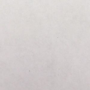 Meet your Posher, Ian